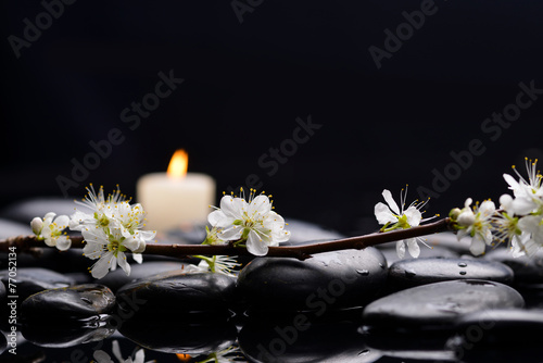 Branch with blossoms with candle with therapy stones