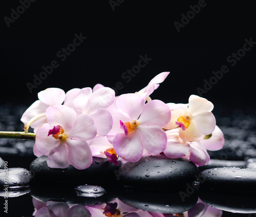 Set of branch pink orchid with therapy stones