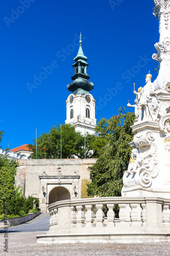 the plague column and castle in Nitra, Slovakia