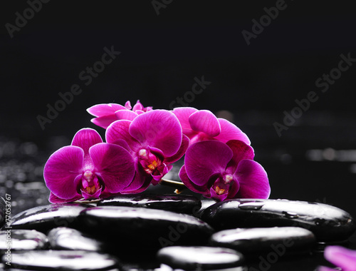 Branch orchid with therapy stones