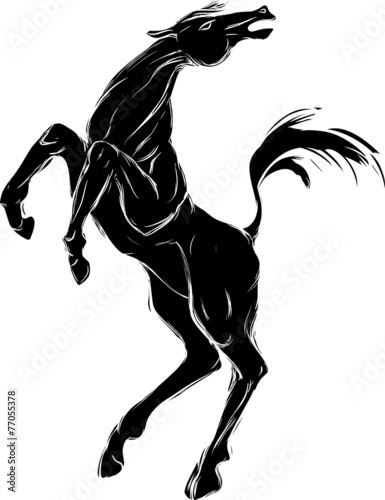 Silhouette of horse