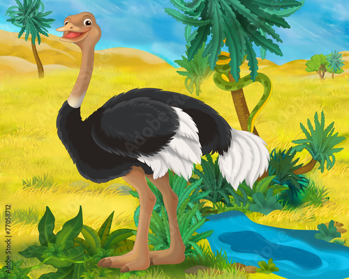 Cartoon scene - wild Africa animals - ostrich - illustration for the children photo