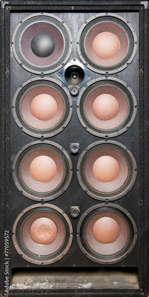 professional speakers professional speakers