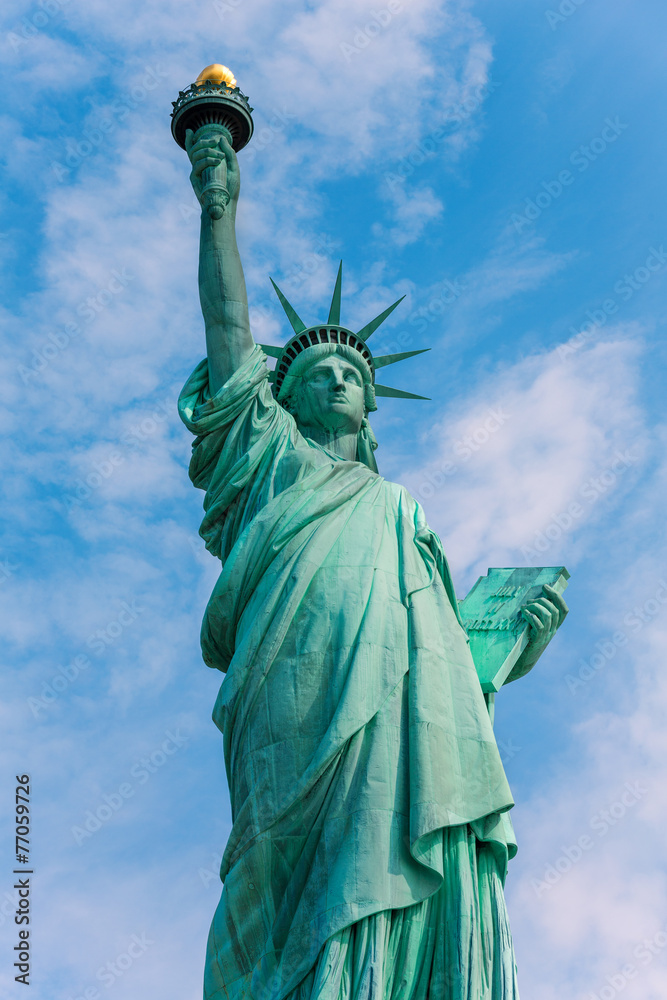 Fototapeta premium Statue of Liberty New York American Symbol USA