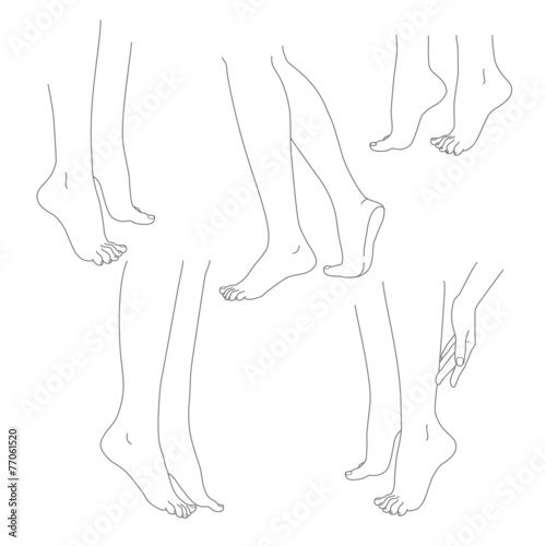 Womans legs female bare feet vector set