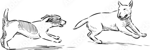 running dogs