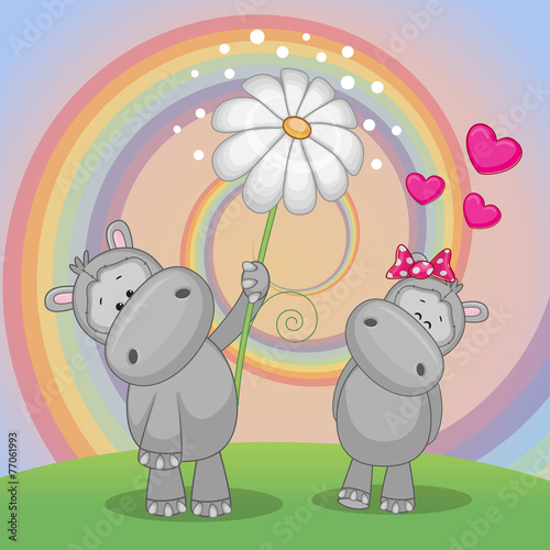 Two Hippos