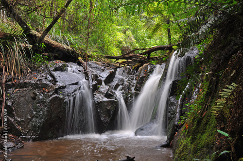 Cascade Yarra Vale 3