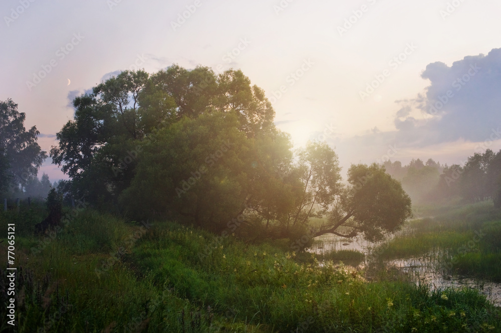 Obraz premium Landscape. Dawn, fog, river
