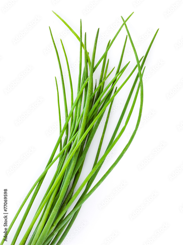 Young green onion leaves isolated on white.