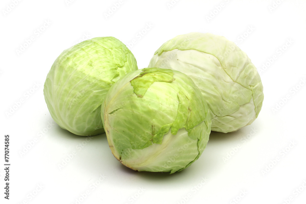 cabbage on the white background cabbage on the white background