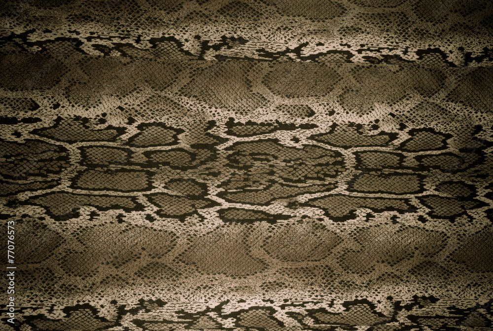 Obraz premium texture of print fabric stripes snake for background