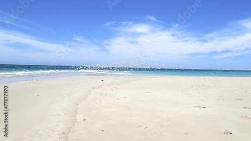 Coast at Coral Bay  West Australia