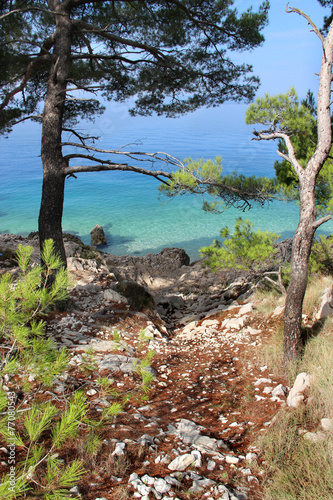 Wild beautiful nature and sea in Croatia