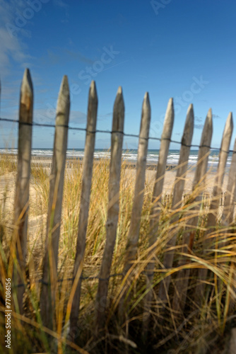 bord de mer