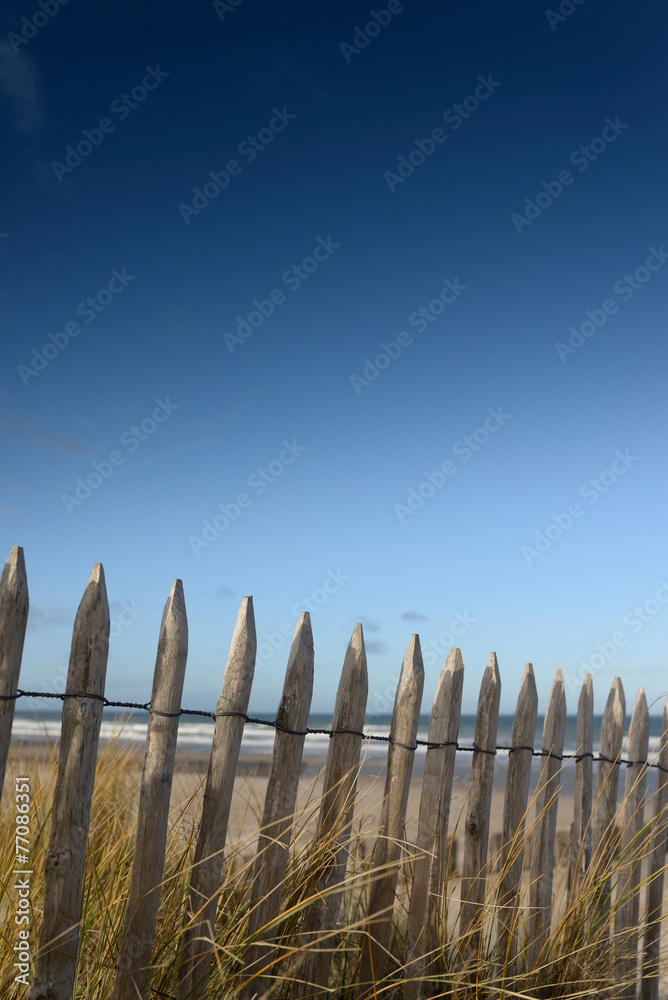 Fototapeta premium bord de mer