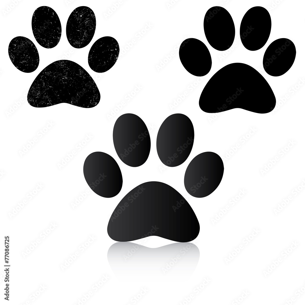 Fototapeta premium Paw Print