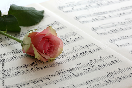 music paper and rose