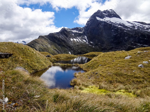 Scene from the Milford Track