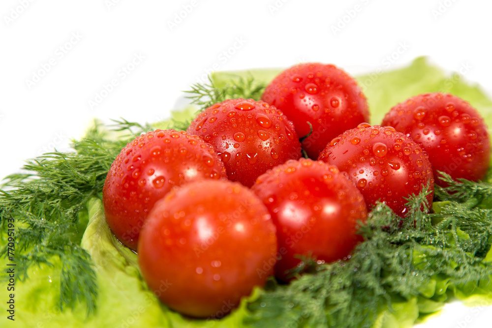 Tomatoes on the green