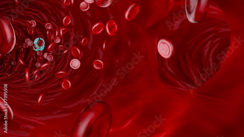 Red Blood Cells Flowing in a Vein