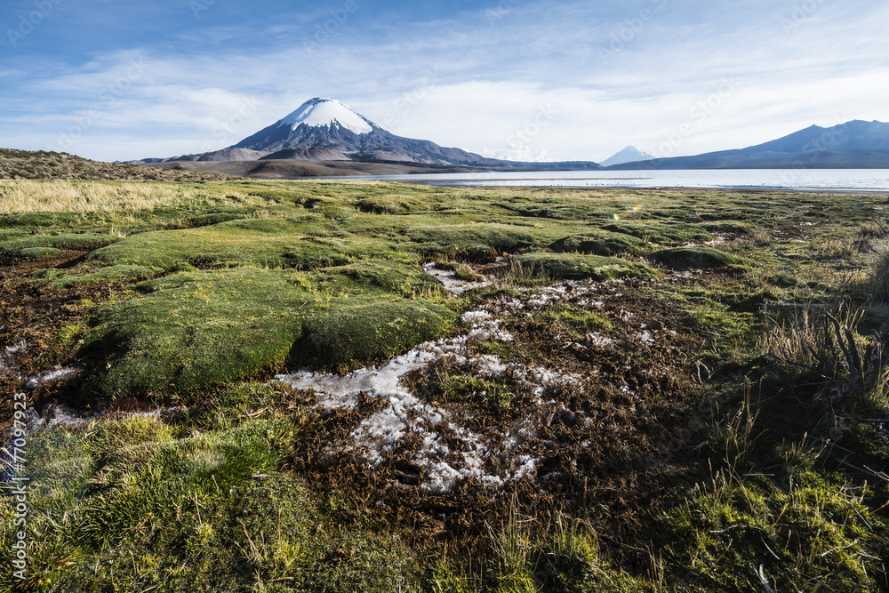 Snow capped Parinacota Volcano reflected in Lake Chungara, Chile Snow capped Parinacota Volcano reflected in Lake Chungara, Chile