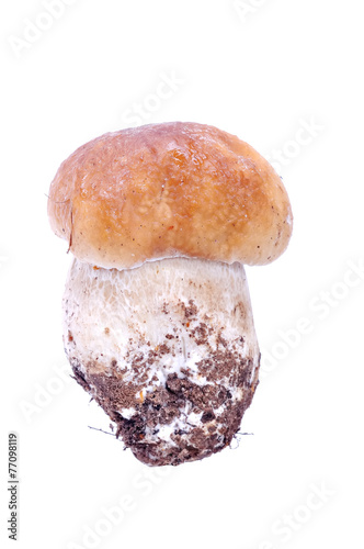 White mushrooms