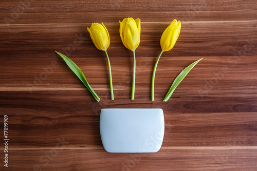 Fototapeta Naklejka Na Ścianę i Meble -  Frühlingsdekoration Tulpen