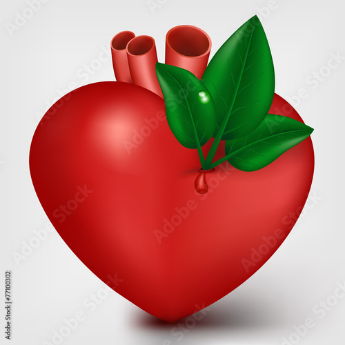 Valentine heart with green leafs