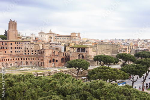 Ancient Rome and pine trees