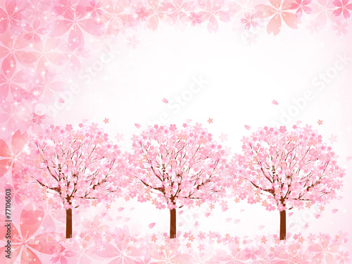 桜 花 背景 © J BOY