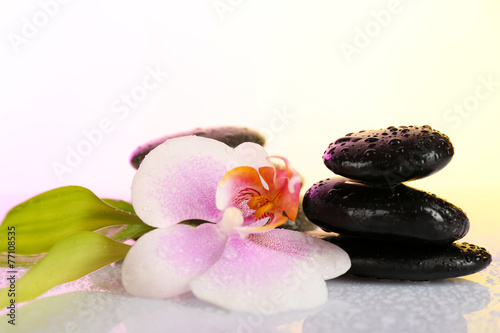 Spa stones with orchid on light background