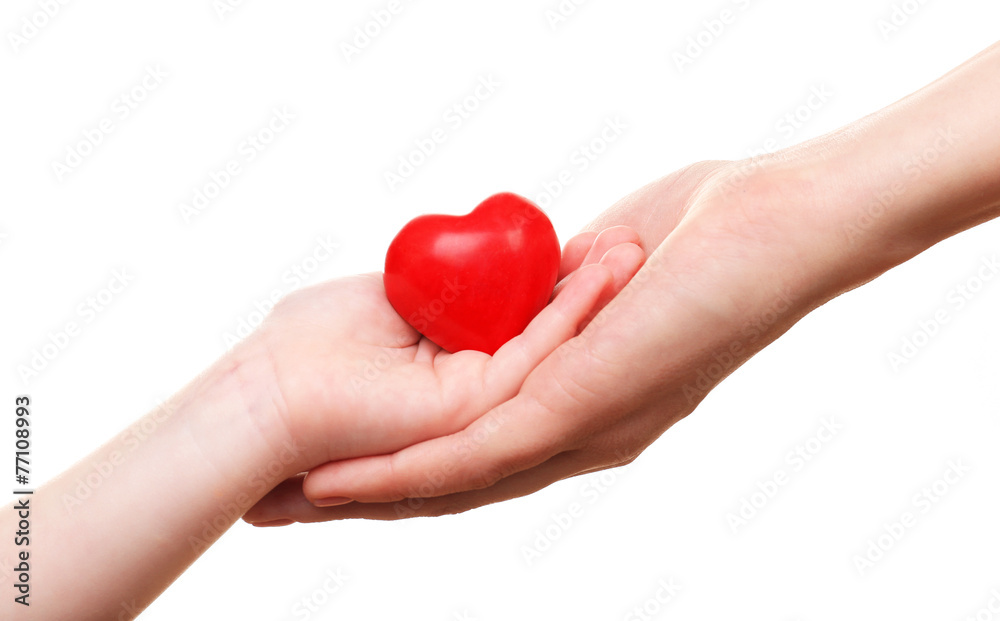 Fototapeta premium Heart in child and mother hands isolated on white