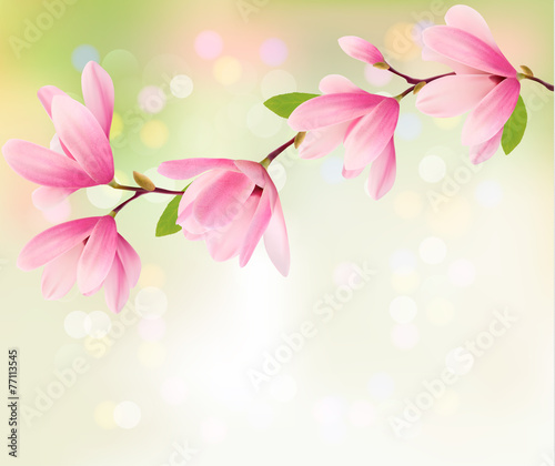 Spring background with blossom brunch of pink flowers. Vector