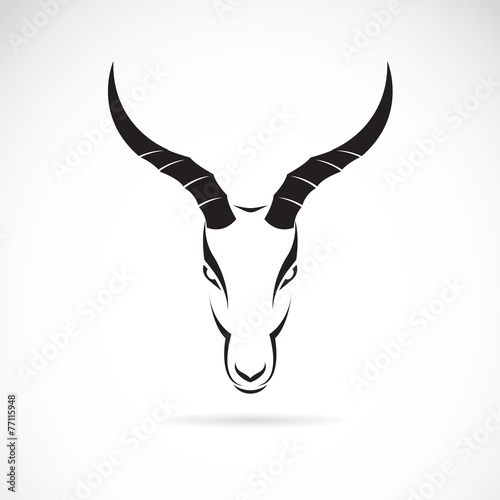 Vector image of an deer head (impala) on white background. photo