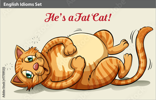 A fat cat