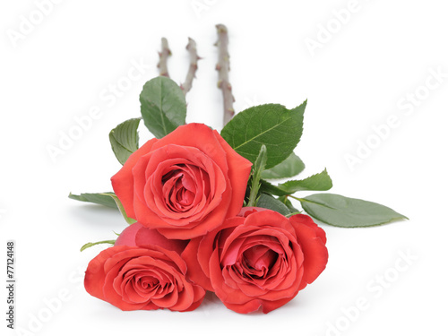 three fresh red roses isolated on white