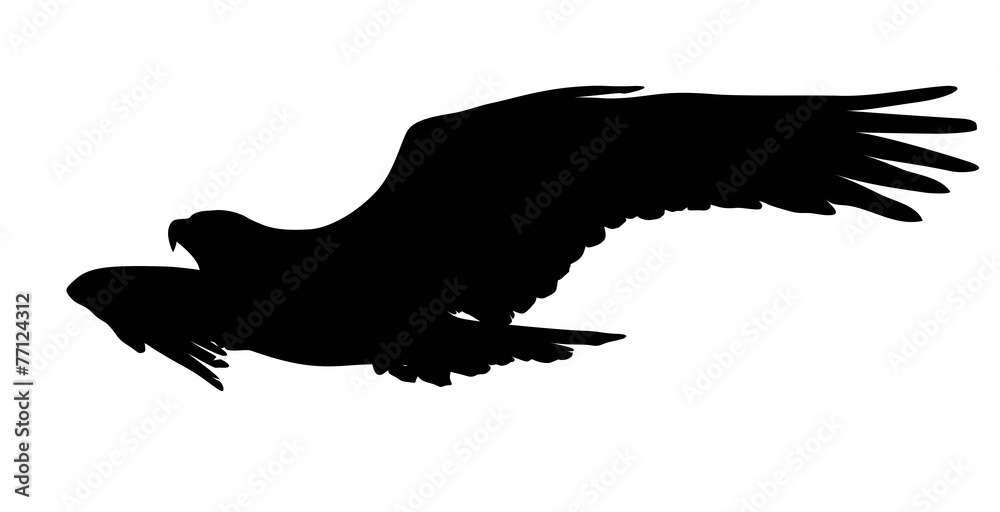 Naklejka premium Vector eagle flying