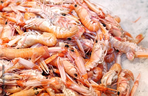 fresh prawns and shrimps in the ice for sale in fish market