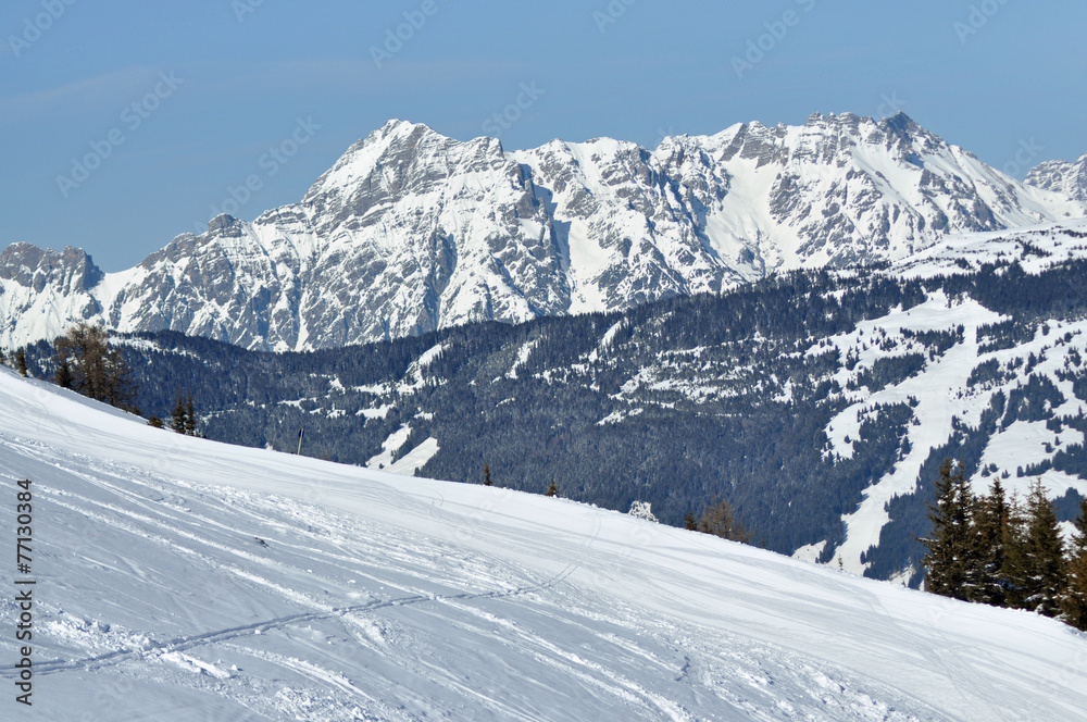 Off-piste slope in the Alps