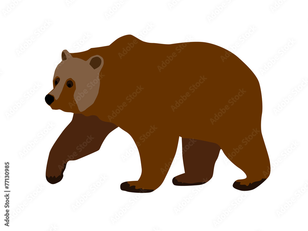 brown bear