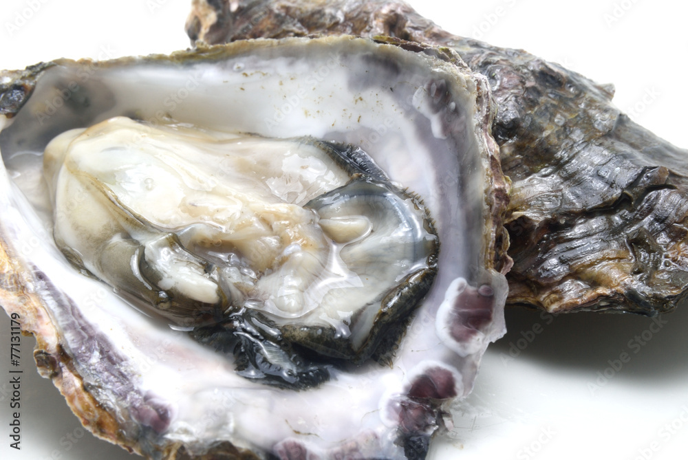 生牡蠣の剥き身 生牡蠣の剥き身