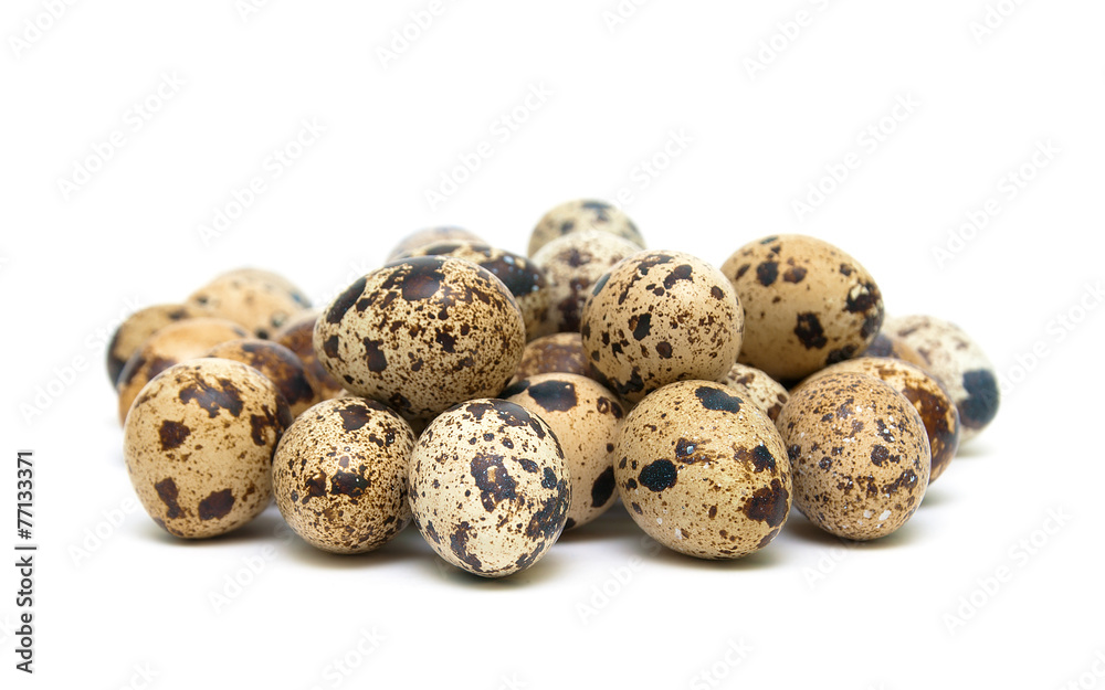 quail eggs isolated on white background close-up quail eggs isolated on white background close-up