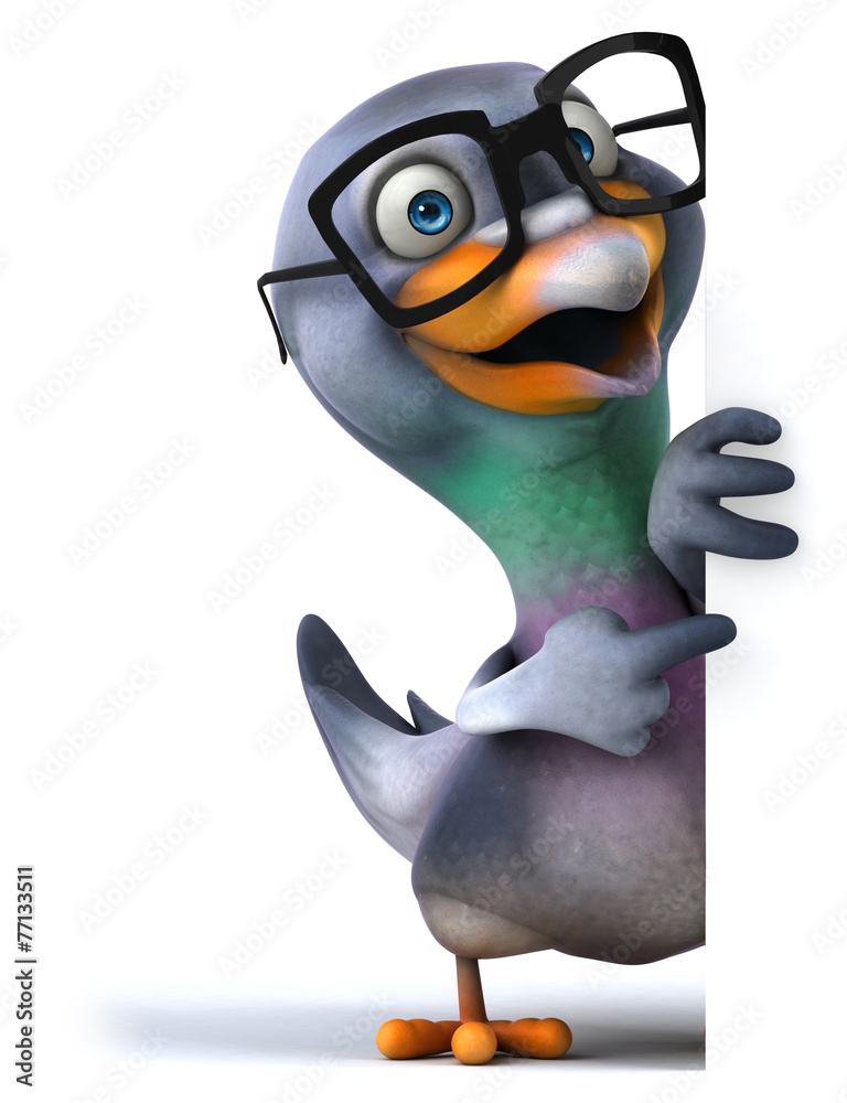 Obraz premium Fun pigeon