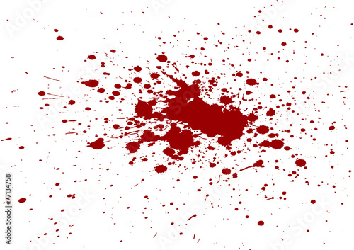 vector blood splatter isolated photo