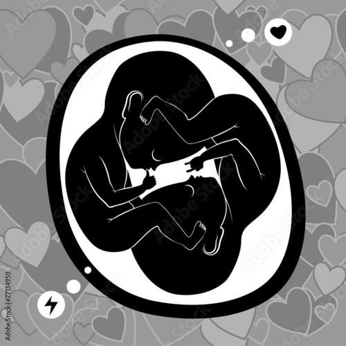 twins in womb