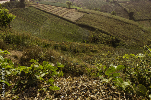 Mountain villages Of Phu Tabberk Phetchabun Thailand. photo