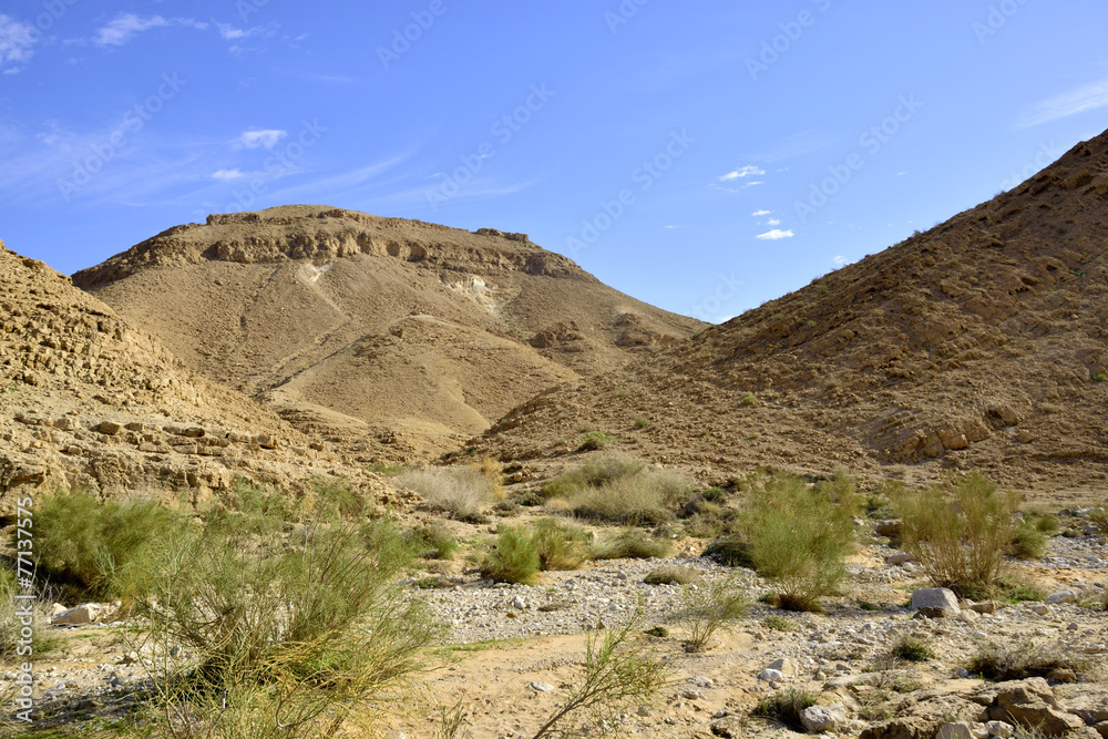 Nahal Zafit landscape in Negev desert.