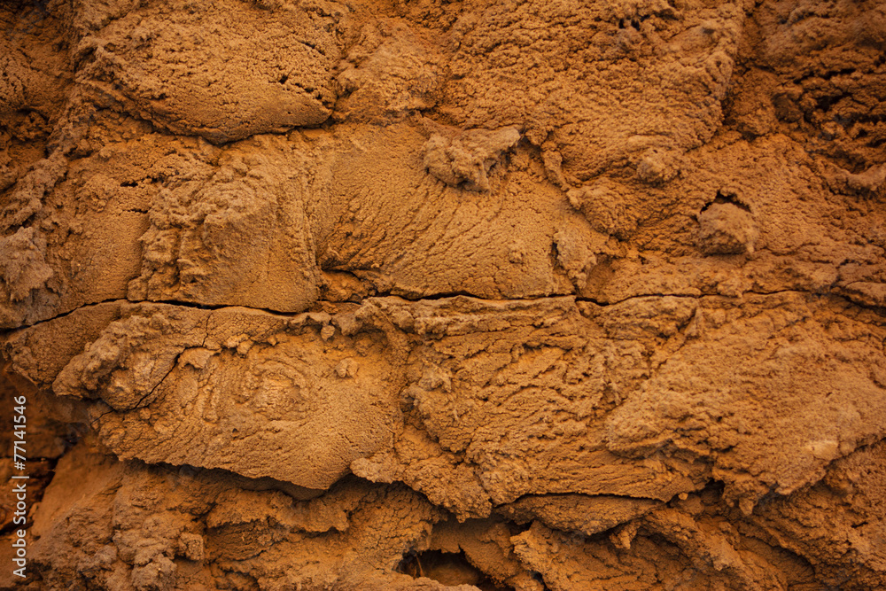 Fototapeta premium Texture cement
