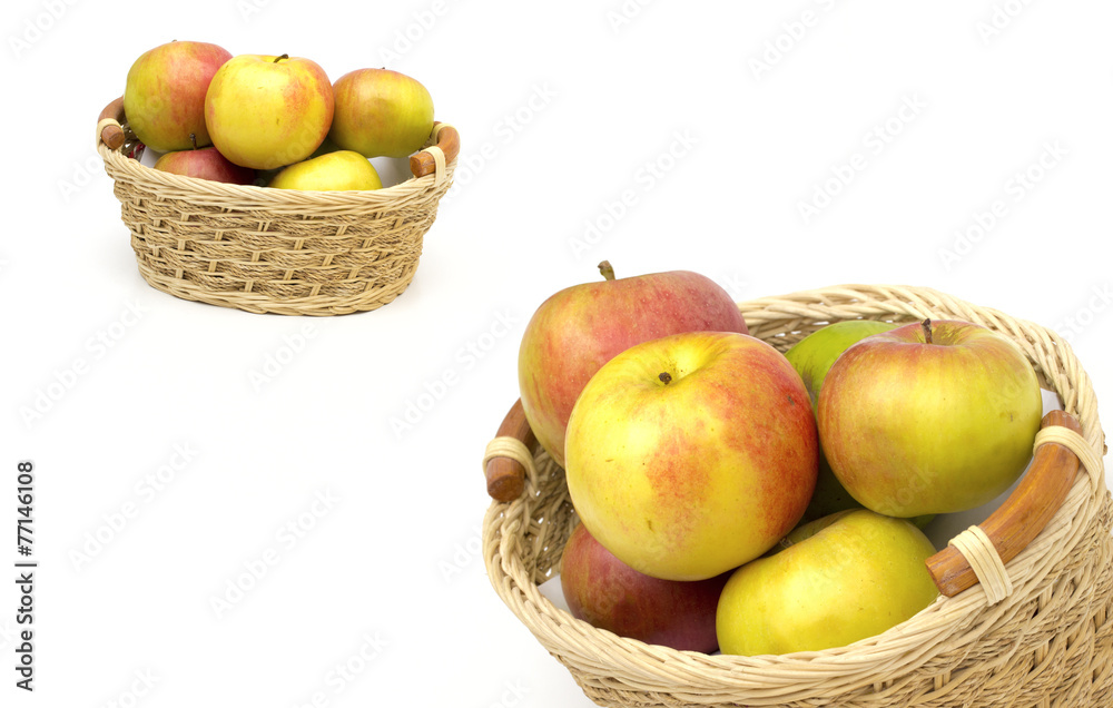 apples on the white background apples on the white background